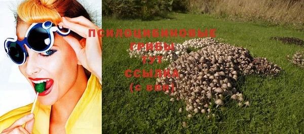 прущие крисы Армянск