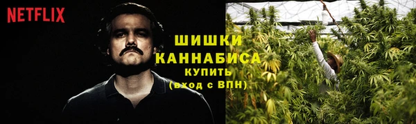 гашик Аркадак