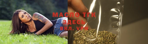 гашик Аркадак
