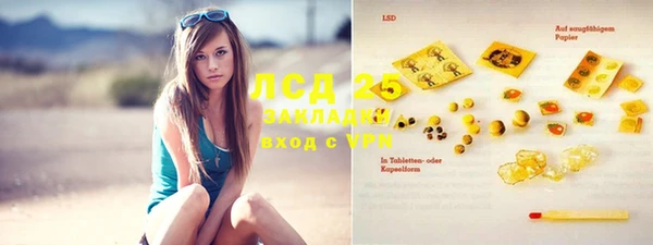 гашик Аркадак