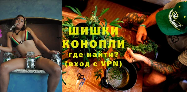 гашик Аркадак