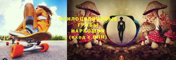 гашик Аркадак