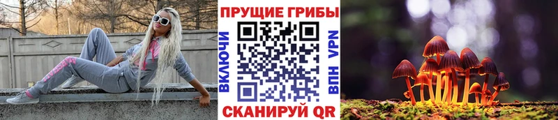 блэк спрут сайт магазин Сусуман Галлюциногенные грибы MAGIC MUSHROOMS
